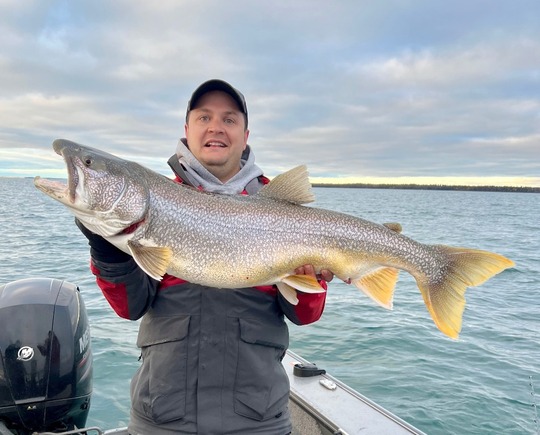 Lake Trout