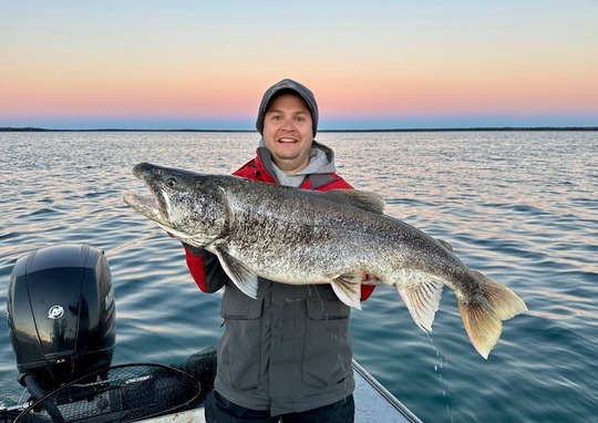 Lake Trout