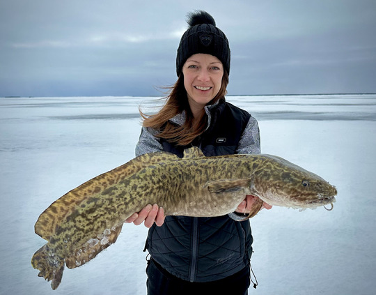 Burbot