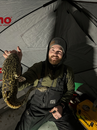 Burbot