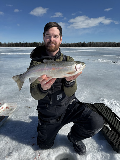 Rainbow Trout