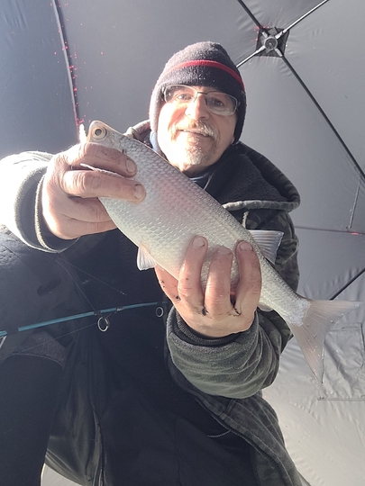 Goldeye