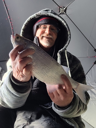 Goldeye