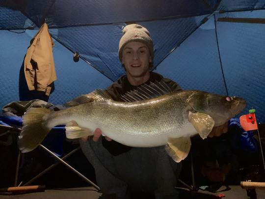 Walleye