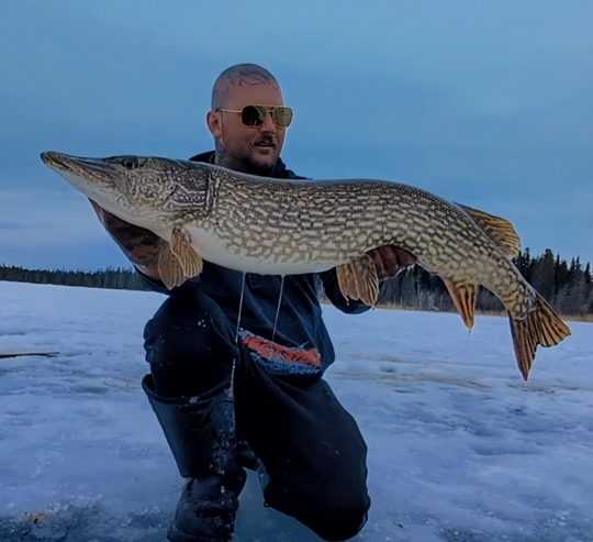 Northern Pike