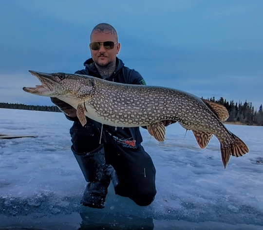 Northern Pike