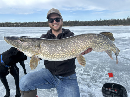 Northern Pike
