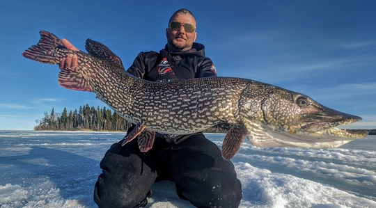 Northern Pike