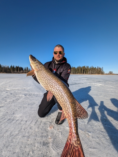Northern Pike