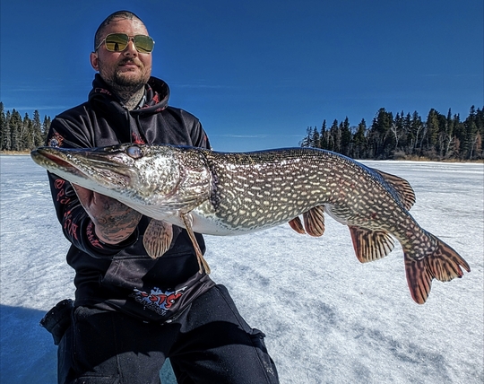 Northern Pike