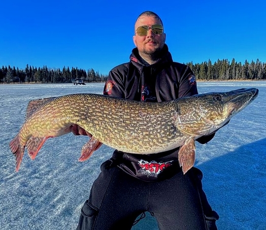 Northern Pike