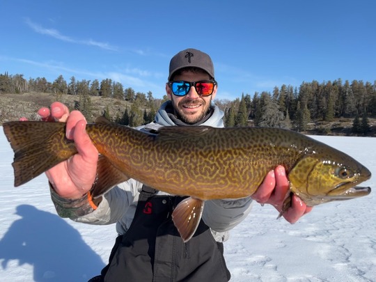 Tiger Trout