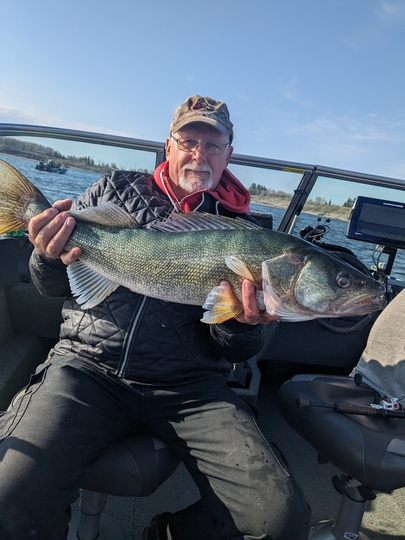 Walleye