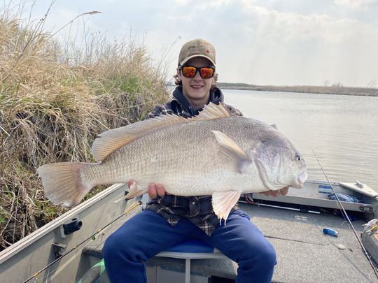 Freshwater Drum