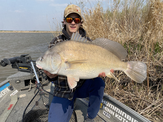 Freshwater Drum