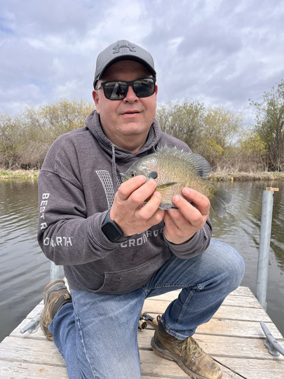 Sunfish