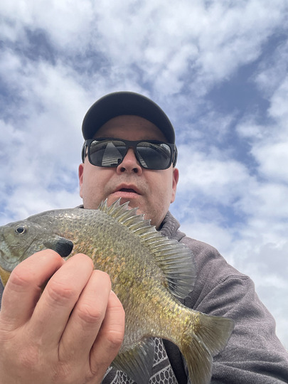 Sunfish