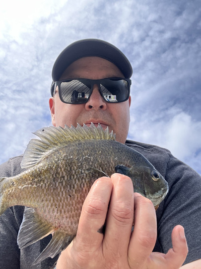 Sunfish