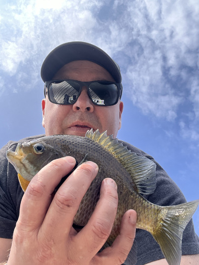 Sunfish