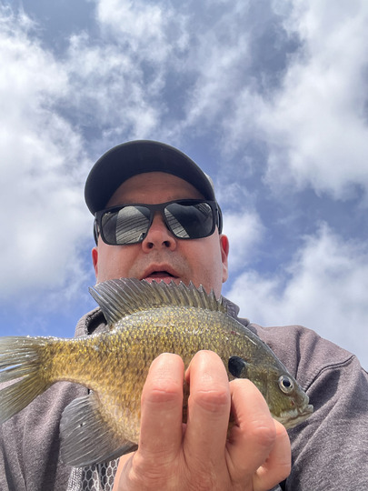 Sunfish