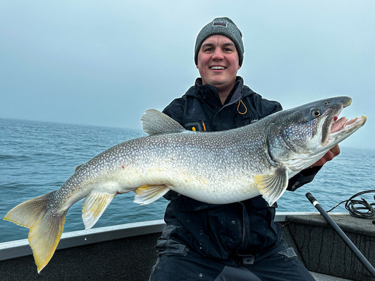 Lake Trout
