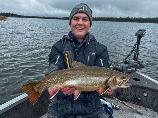 Brook Trout