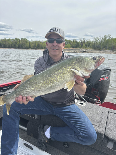 Walleye