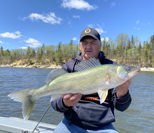 Walleye