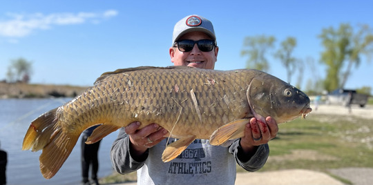 Common Carp