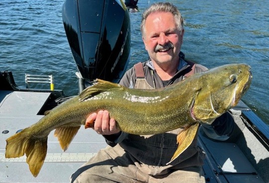 Lake Trout