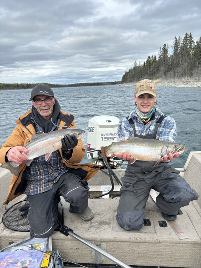 Brook Trout