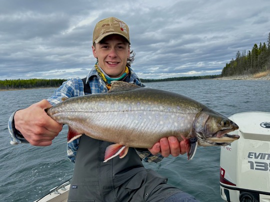 Brook Trout