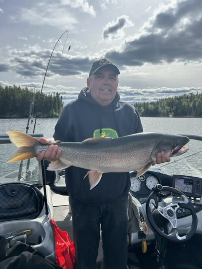Lake Trout
