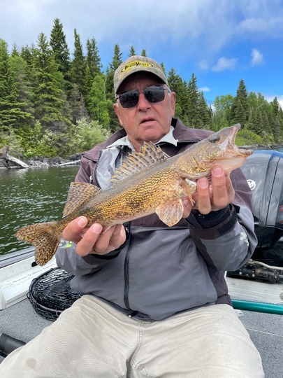 Sauger
