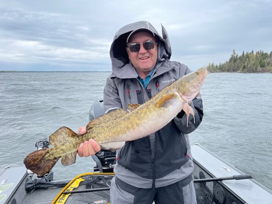 Burbot