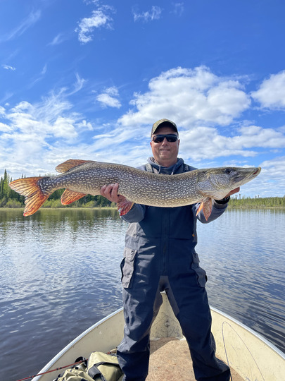 Northern Pike