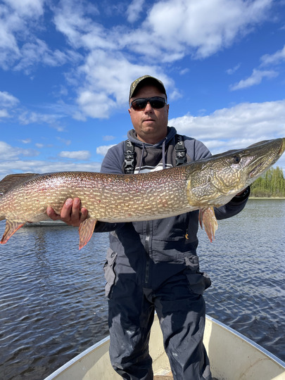 Northern Pike