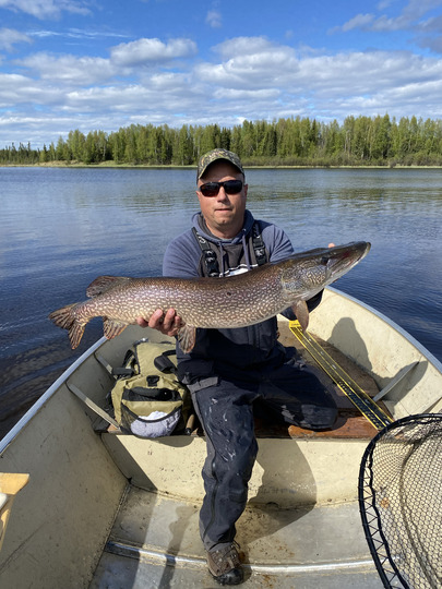 Northern Pike