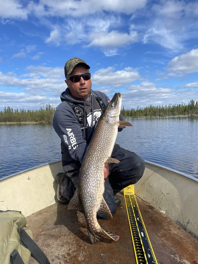 Northern Pike