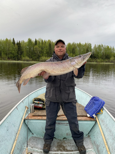 Northern Pike