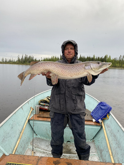 Northern Pike