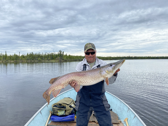 Northern Pike