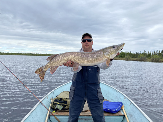Northern Pike