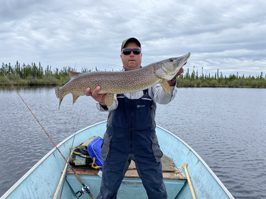 Northern Pike