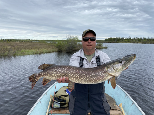 Northern Pike