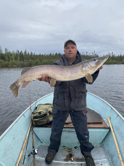 Northern Pike