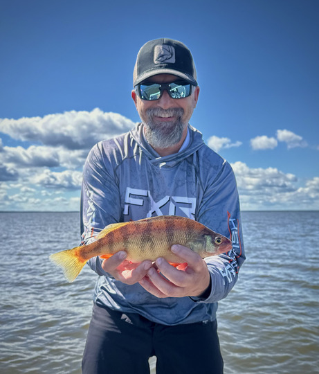 Yellow Perch