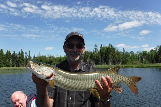 Muskellunge