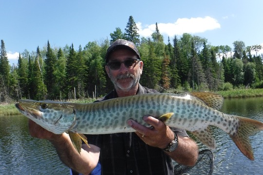 Muskellunge