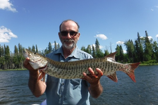 Muskellunge